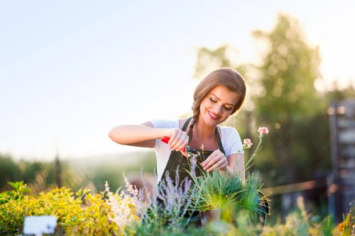 Beautiful Barnet garden with blooming flowers