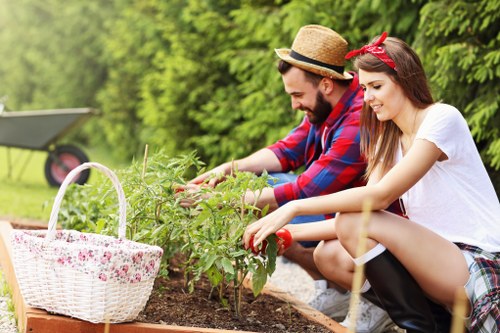 Professional lawn mower maintaining a garden in Barnet