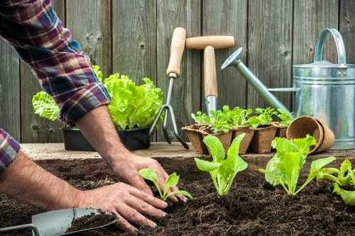 Gardener preparing soil in Barnet