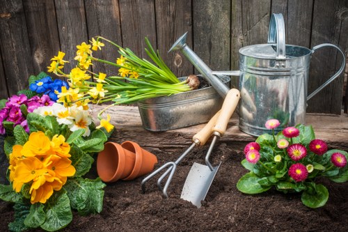 Seasonal plantings in a professionally designed Barnet garden