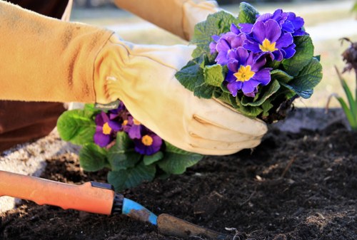 Eco-friendly lawn care practices being implemented