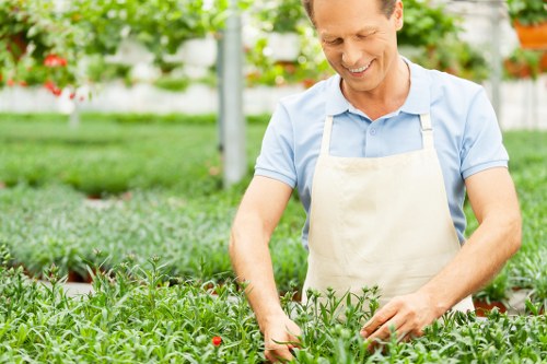 Eco-friendly hedge trimming tools and practices